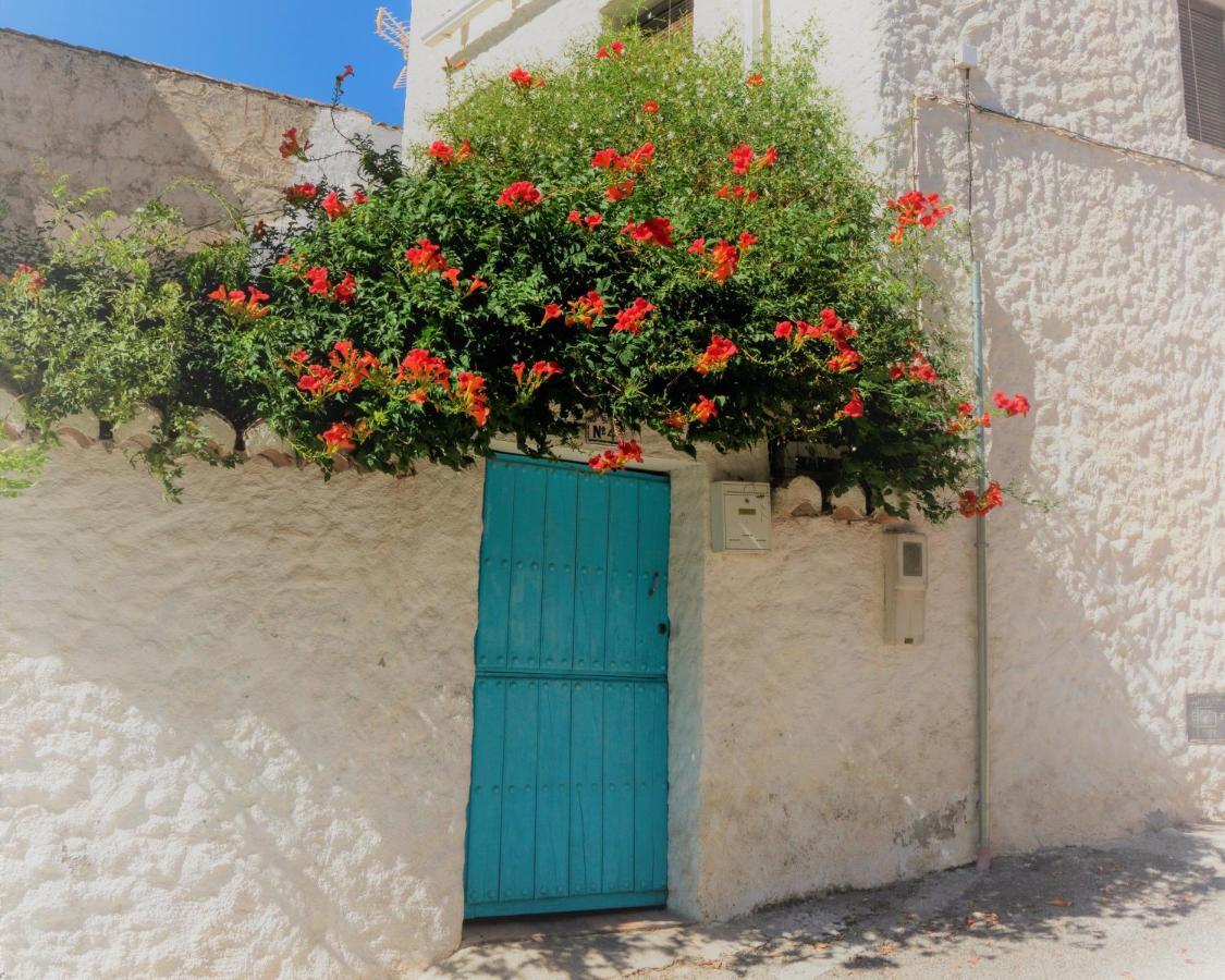 Casa Del Patio Bed and Breakfast Pinos del Valle Εξωτερικό φωτογραφία