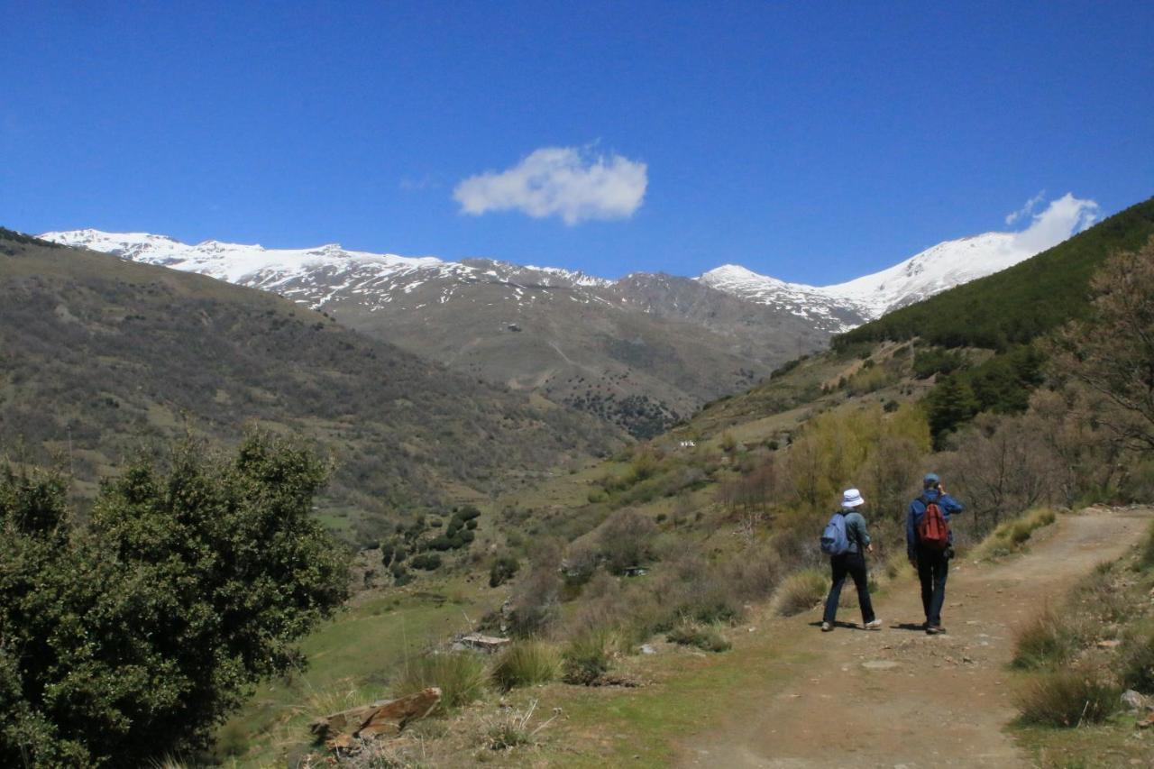 Casa Del Patio Bed and Breakfast Pinos del Valle Εξωτερικό φωτογραφία